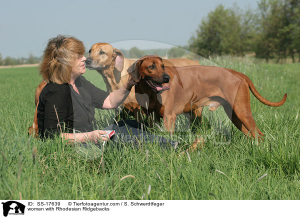 Frau mit Rhodesian Ridgebacks / woman with Rhodesian Ridgebacks / SS-17639
