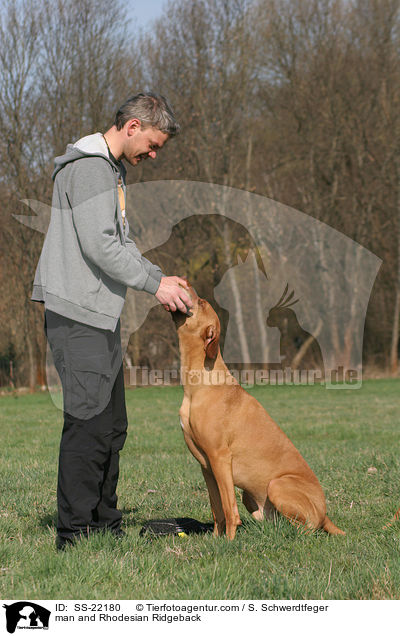 Mann und Rhodesian Ridgeback / man and Rhodesian Ridgeback / SS-22180