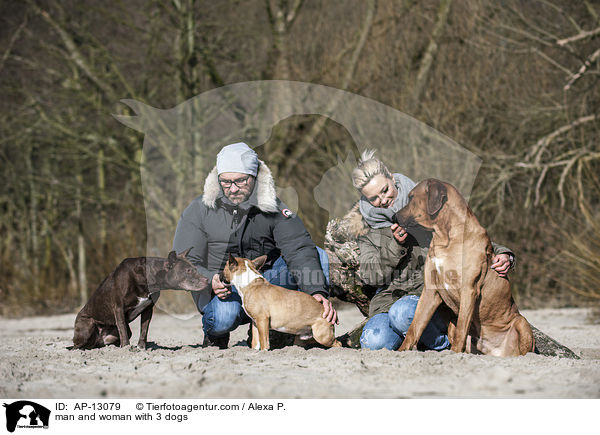 man and woman with 3 dogs / AP-13079