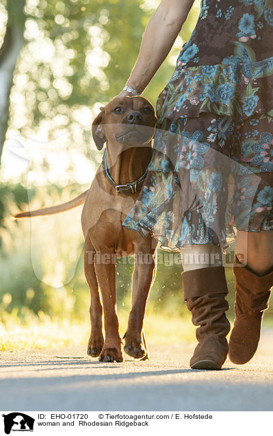 Frau und Rhodesian Ridgeback / woman and  Rhodesian Ridgeback / EHO-01720