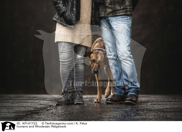 Menschen und Rhodesian Ridgeback / humans and Rhodesian Ridgeback / KFI-01722