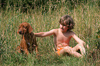 boy with Rhodesian Ridgeback puppy