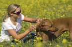 young woman with Rhodesian Ridgeback
