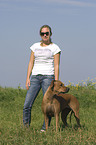 young woman with Rhodesian Ridgeback