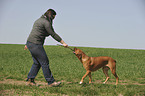 woman and Rhodesian Ridgeback