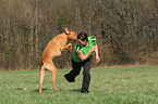 woman with Rhodesian Ridgeback