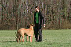 woman with Rhodesian Ridgebacks