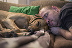man with Rhodesian Ridgeback