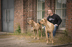man and 2 Rhodesian Ridgebacks