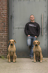 man and 2 Rhodesian Ridgebacks