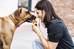 young woman with Rhodesian Ridgeback