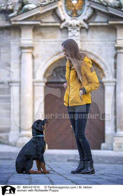 Frau mit Rottweiler Welpe / woman with Rottweiler Puppy / MAH-01910