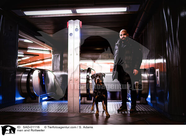 Mann und Rottweiler / man and Rottweiler / SAD-01116