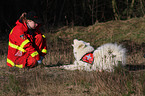 rescue dog