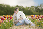 Samoyed