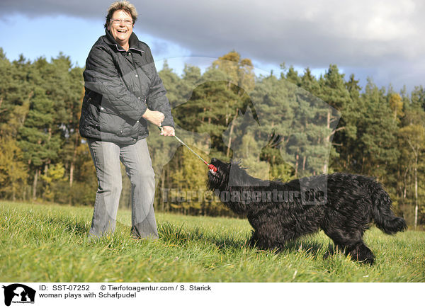 Frau spielt mit Schafpudel / woman plays with Schafpudel / SST-07252