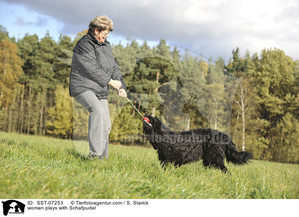 Frau spielt mit Schafpudel / woman plays with Schafpudel / SST-07253