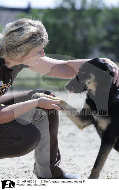 Frau und Schferhund / woman and shepherd / AP-06291