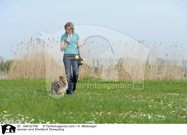 Frau und Sheltie / woman and Shetland Sheepdog / AM-02768