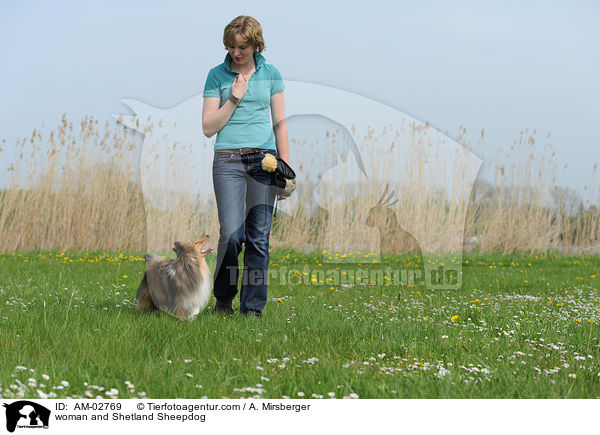 Frau und Sheltie / woman and Shetland Sheepdog / AM-02769