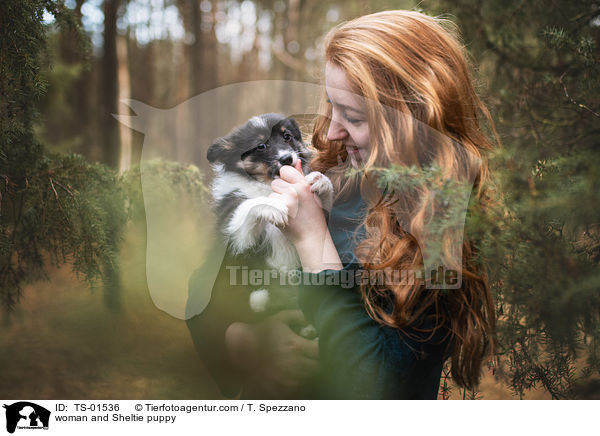 Frau und Sheltie Welpe / woman and Sheltie puppy / TS-01536