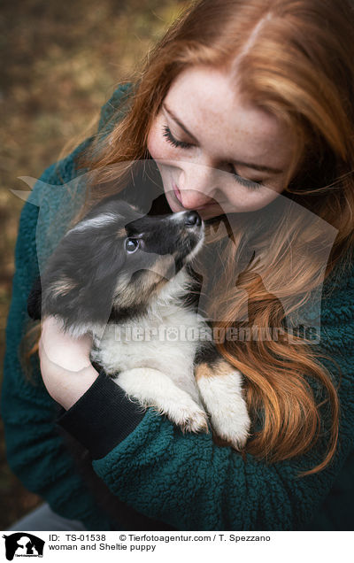 Frau und Sheltie Welpe / woman and Sheltie puppy / TS-01538