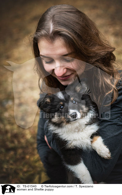 Frau und Sheltie Welpe / woman and Sheltie puppy / TS-01540