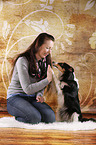 woman and Sheltie