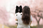 female Sheltie