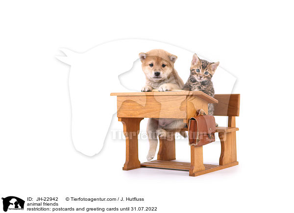 animal friends / JH-22942