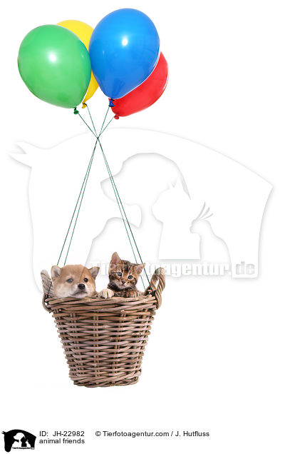 animal friends / JH-22982