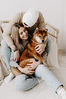 young Shiba Inu