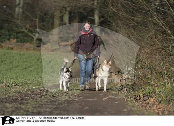 woman and 2 Siberian Husky / NN-11267
