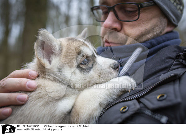 man with Siberian Husky puppy / STM-01631