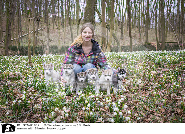 woman with Siberian Husky puppy / STM-01639