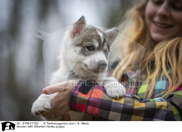 woman with Siberian Husky puppy / STM-01762