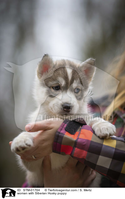 woman with Siberian Husky puppy / STM-01764