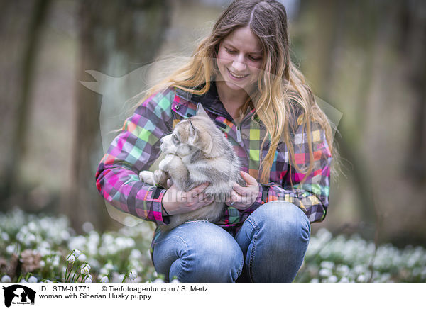 woman with Siberian Husky puppy / STM-01771