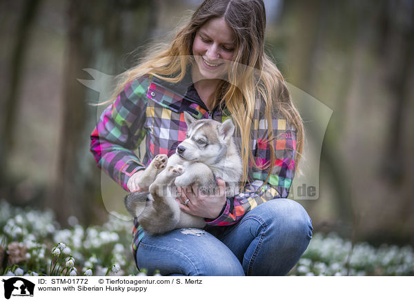 woman with Siberian Husky puppy / STM-01772