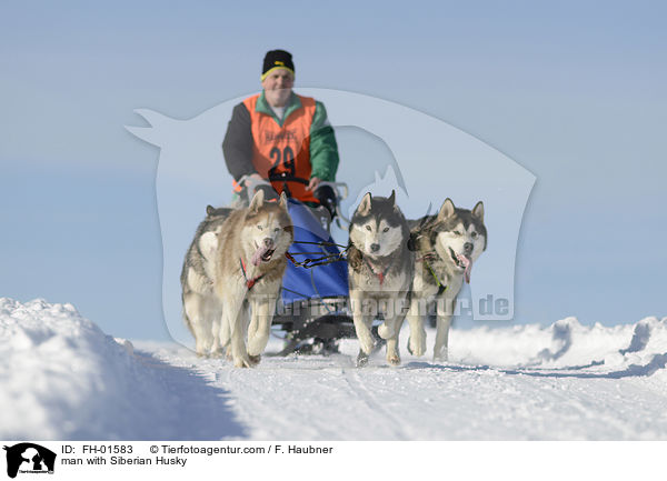 man with Siberian Husky / FH-01583
