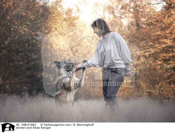 Frau und Sivas Kangal / woman and Sivas Kangal / SIB-01663