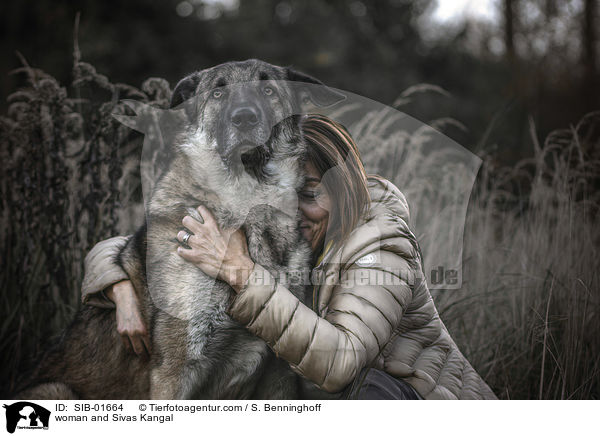 Frau und Sivas Kangal / woman and Sivas Kangal / SIB-01664