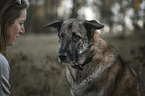woman and Sivas Kangal