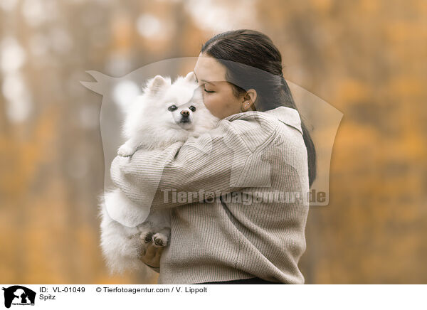 Spitz / Spitz / VL-01049