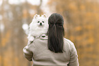 Spitz