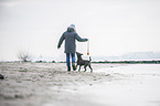 human and Staffordshire Bull Terrier