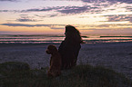 woman with Standard Poodle