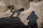 silhouette woman with Standard Poodle