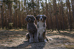 2 dogs