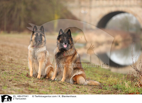 2 Tervueren / 2 Tervueren / KB-07041